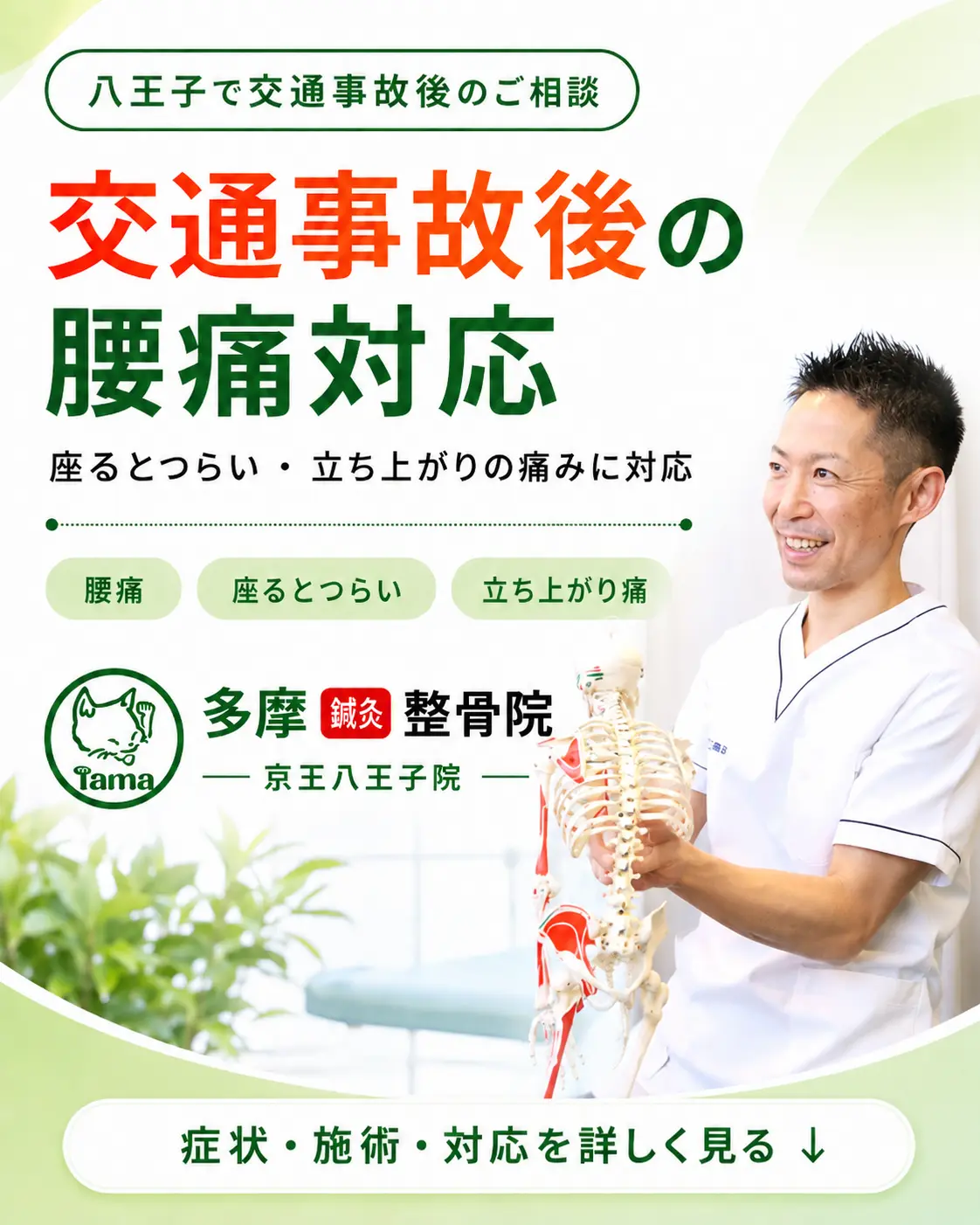八王子で交通事故後の腰痛、座るとつらい症状、立ち上がり時の痛みに対応する多摩鍼灸整骨院 京王八王子院のFV画像